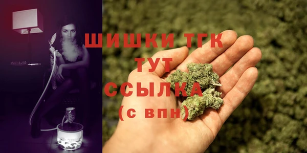 прущие грибы Арсеньев