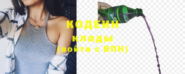 прущие грибы Арсеньев