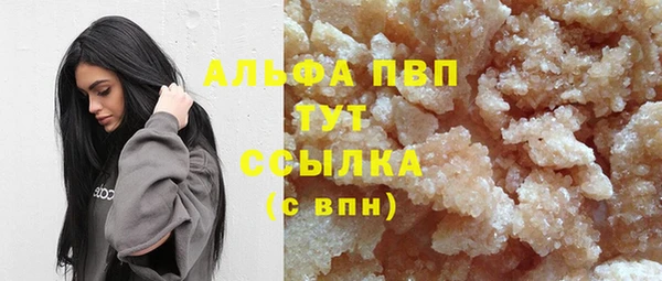 прущие грибы Арсеньев