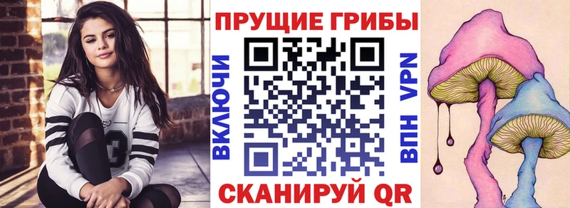 Псилоцибиновые грибы мицелий  blacksprut как войти  Полевской  где продают  